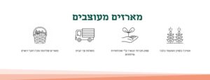 מארזים מעוצבים דרך הטנא